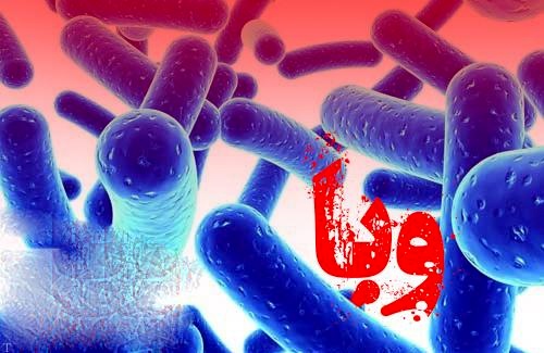 به شایعات توجه نکنید : موردی از وبا در آذربایجان غربی مشاهده نشده است