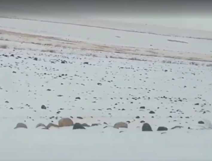 بارش برف در محورهای روستایی بوکان