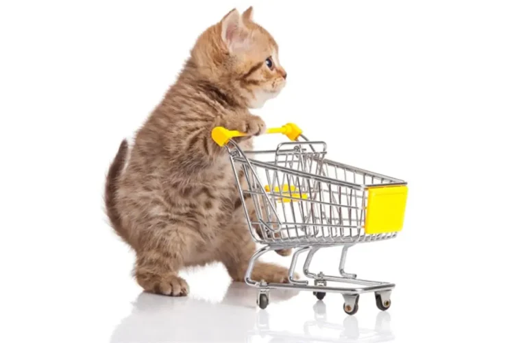 بهترین پت شاپ تبریز کجاست؟