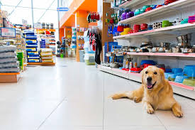 راهنمای کامل انتخاب بهترین پت شاپ در تبریز